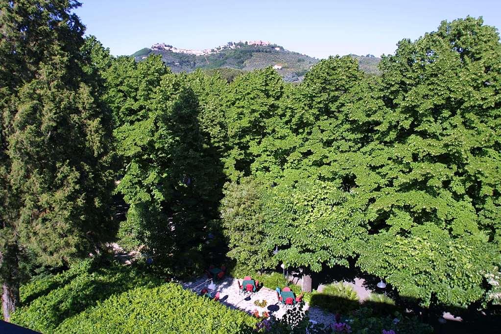 Hotel Mediterraneo Montecatini-Terme Pokój zdjęcie